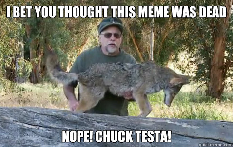 I bet you thought this meme was dead
 Nope! Chuck Testa!  