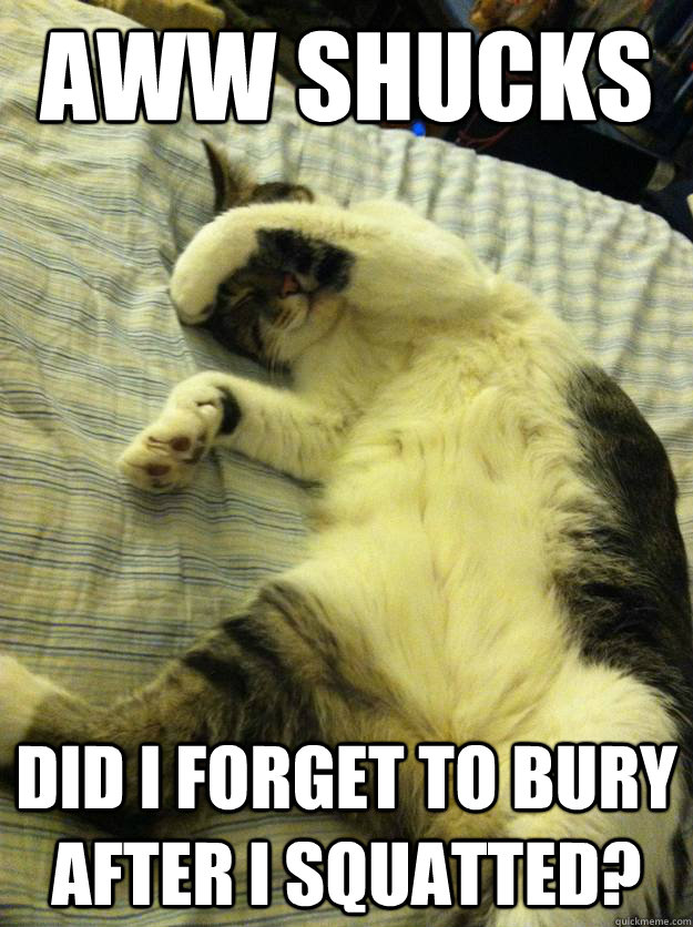 Aww shucks did I forget to bury after i squatted? - Aww shucks did I forget to bury after i squatted?  Carelessly Cute Cat