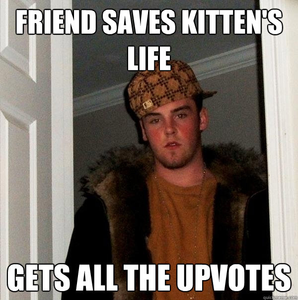 Friend saves kitten's life gets all the upvotes  Scumbag Steve