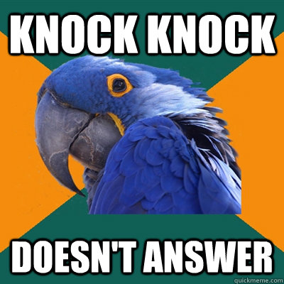 Knock KNock Doesn't Answer  Paranoid Parrot