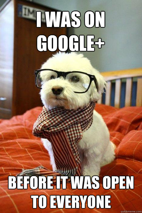 I was on Google+ Before it was open to everyone   Hipster pup