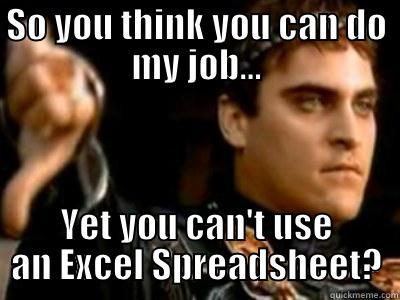 SO YOU THINK YOU CAN DO MY JOB... YET YOU CAN'T USE AN EXCEL SPREADSHEET? Downvoting Roman