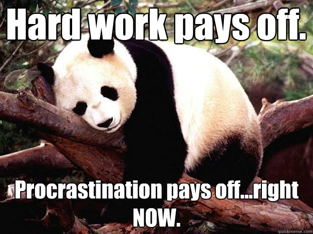 Hard work pays off.  Procrastination pays off...right NOW. - Hard work pays off.  Procrastination pays off...right NOW.  Procrastination Panda