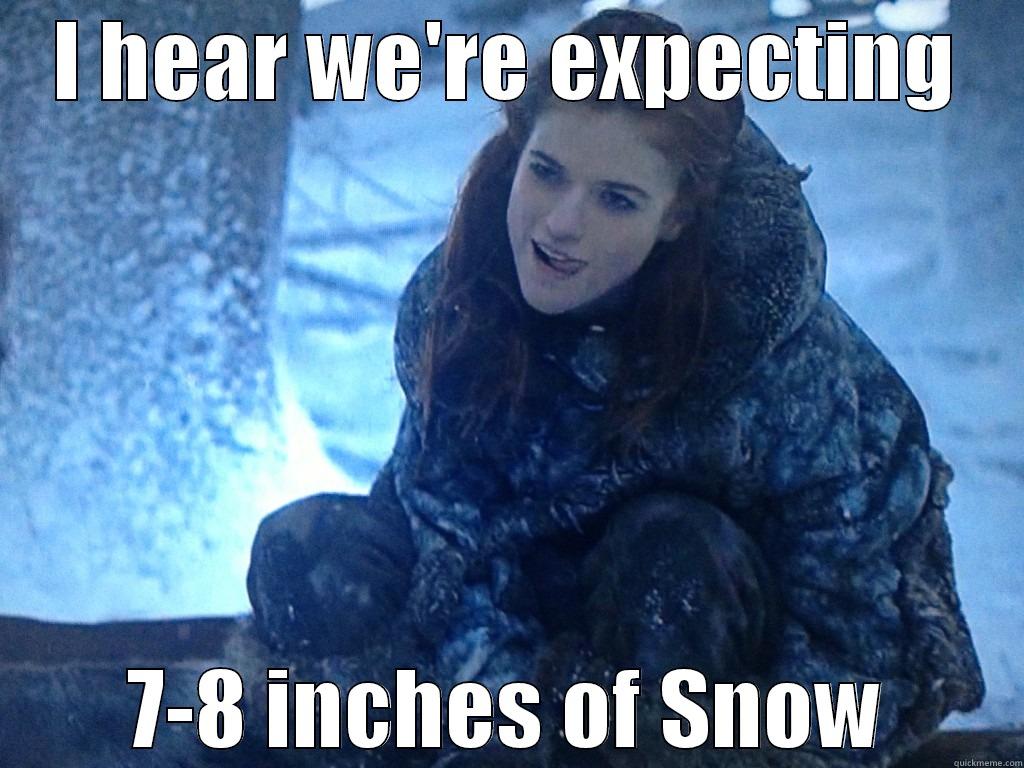 I HEAR WE'RE EXPECTING 7-8 INCHES OF SNOW Misc