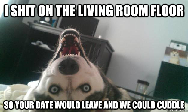 I shit on the living room floor so your date would leave and we could cuddle  Over Obsessive Dog