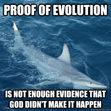 Proof of evolution is not enough evidence that god didn't make it happen - Proof of evolution is not enough evidence that god didn't make it happen  Evolution Shark