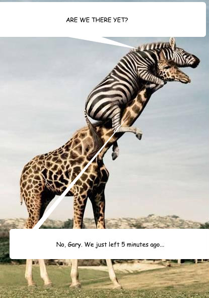 ARE WE THERE YET? No, Gary. We just left 5 minutes ago...  Over Zealous Zebra