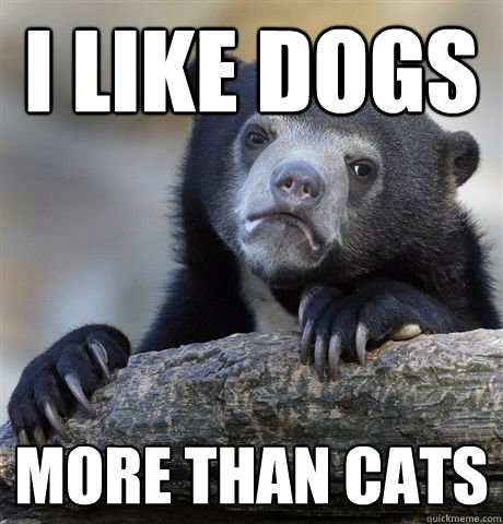 i like dogs more than cats - i like dogs more than cats  Confession Bear