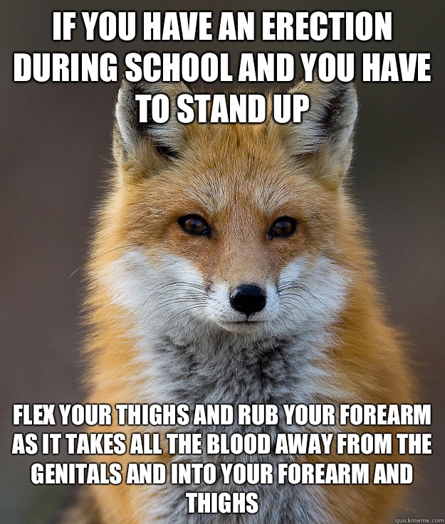 If you have an erection during school and you have to stand up Flex your thighs and rub your forearm as it takes all the blood away from the genitals and into your forearm and thighs - If you have an erection during school and you have to stand up Flex your thighs and rub your forearm as it takes all the blood away from the genitals and into your forearm and thighs  Fun Fact Fox