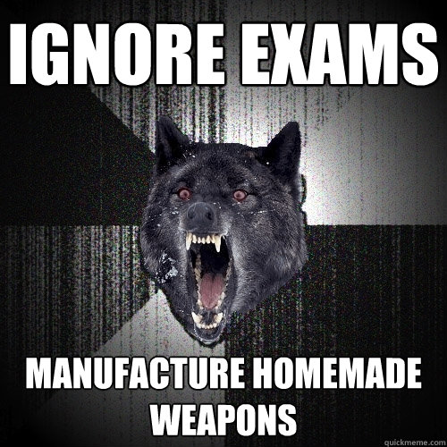 ignore exams manufacture homemade weapons  Insanity Wolf