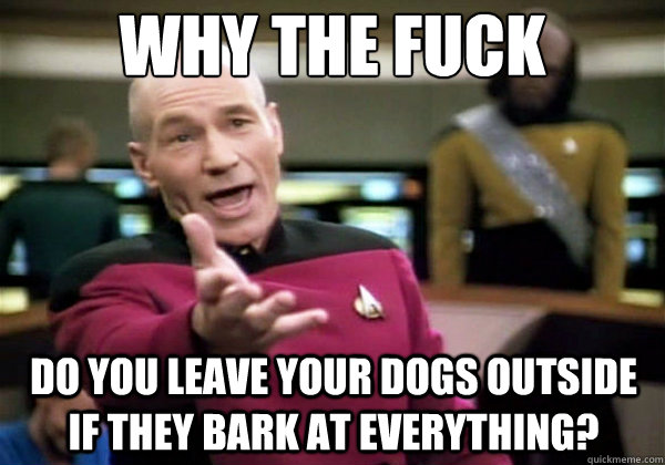 Why the fuck Do you leave your dogs outside if they bark at everything?  Why The Fuck Picard