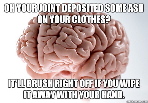 Oh your joint deposited some ash on your clothes? It'll brush right off if you wipe it away with your hand. - Oh your joint deposited some ash on your clothes? It'll brush right off if you wipe it away with your hand.  Scumbag Brain