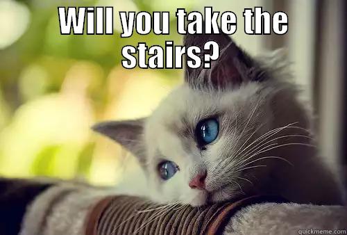 Stair Climbing Improves Health -  WILL YOU TAKE THE STAIRS?  First World Problems Cat