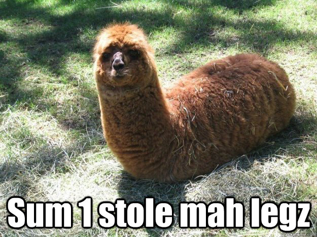  Sum 1 stole mah legz -  Sum 1 stole mah legz  ALPACA