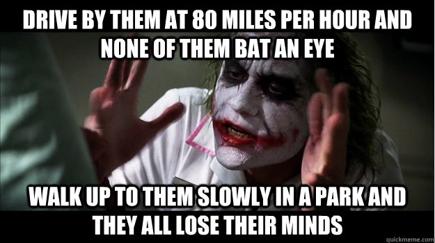 drive by them at 80 miles per hour and none of them bat an eye walk up to them slowly in a park and they all lose their minds  Joker Mind Loss