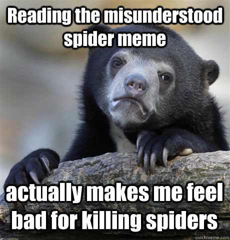 Reading the misunderstood spider meme actually makes me feel bad for killing spiders - Reading the misunderstood spider meme actually makes me feel bad for killing spiders  Confession Bear