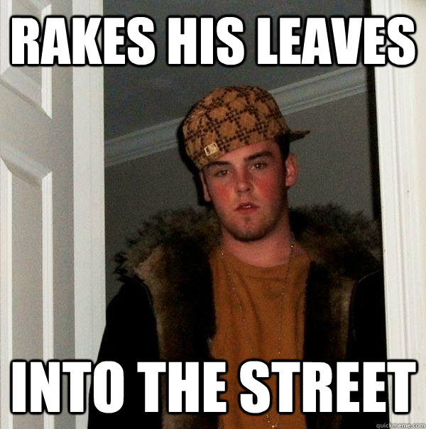Rakes his leaves into the street  Scumbag Steve