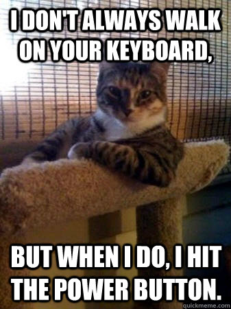 I don't always walk on your keyboard, but when I do, i hit the power button.  The Most Interesting Cat in the World
