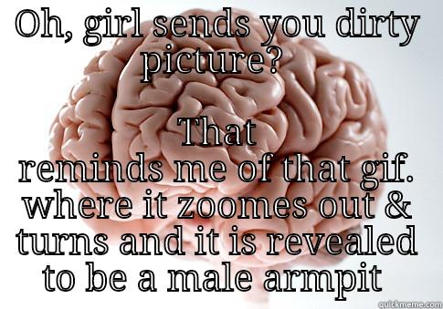 OH, GIRL SENDS YOU DIRTY PICTURE?  THAT REMINDS ME OF THAT GIF. WHERE IT ZOOMES OUT & TURNS AND IT IS REVEALED TO BE A MALE ARMPIT  Scumbag Brain