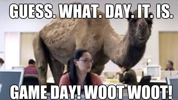 GUESS. WHAT. DAY. IT. IS. GAME DAY! WOOT WOOT! - GUESS. WHAT. DAY. IT. IS. GAME DAY! WOOT WOOT!  camel