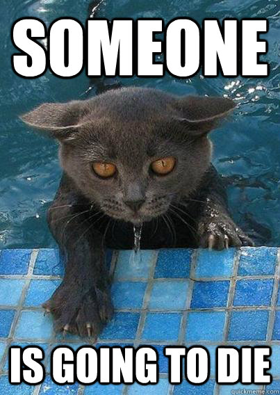 someone is going to die - someone is going to die  pissed pool cat