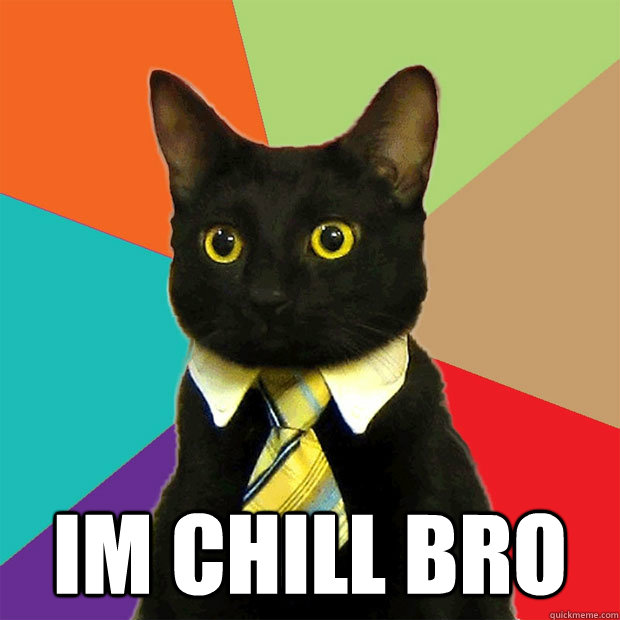  IM CHILL BRO  Business Cat