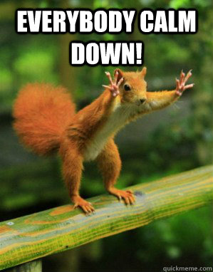 EVERYBODY CALM DOWN! 
 - EVERYBODY CALM DOWN! 
  Panic Squirrel