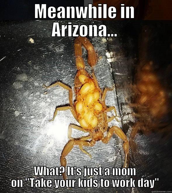 MEANWHILE IN ARIZONA... WHAT? IT'S JUST A MOM ON 