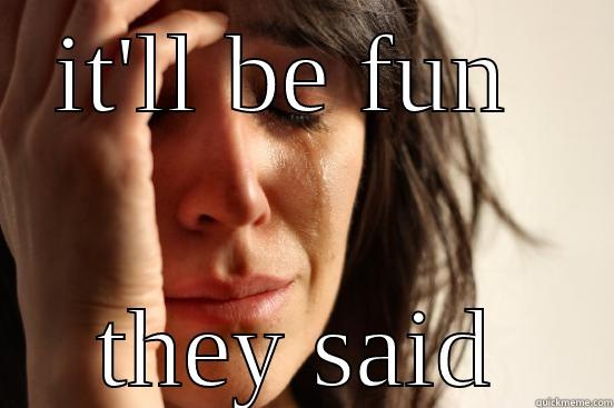 IT'LL BE FUN  THEY SAID First World Problems