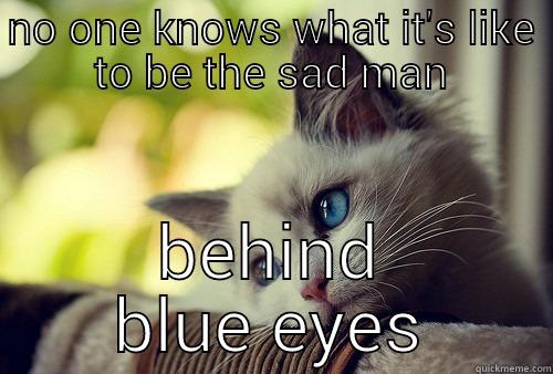 NO ONE KNOWS WHAT IT'S LIKE TO BE THE SAD MAN BEHIND BLUE EYES First World Problems Cat