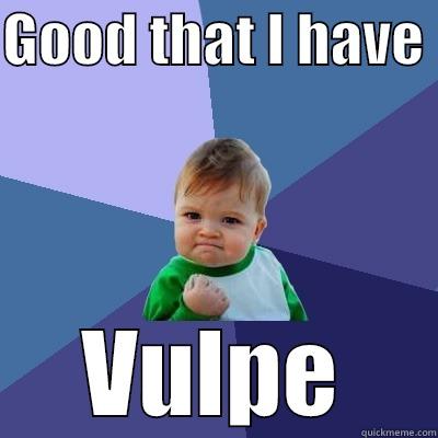 GOOD THAT I HAVE  VULPE Success Kid