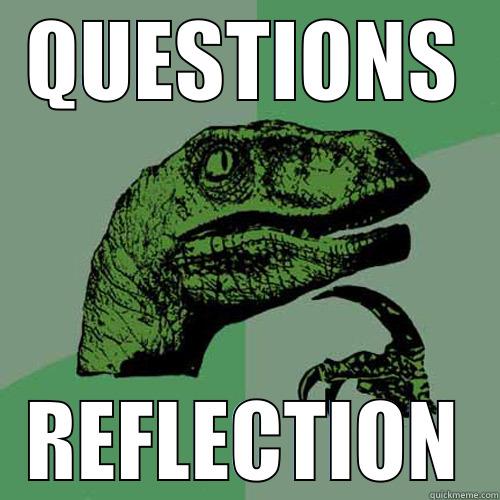 QUESTIONS REFLECTION Philosoraptor