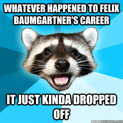 Whatever happened to felix Baumgartner's Career it just kinda dropped off   Lame Pun Raccoon