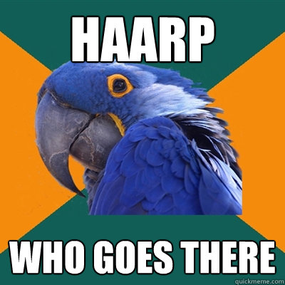 HAARP WHO GOES THERE
  Paranoid Parrot