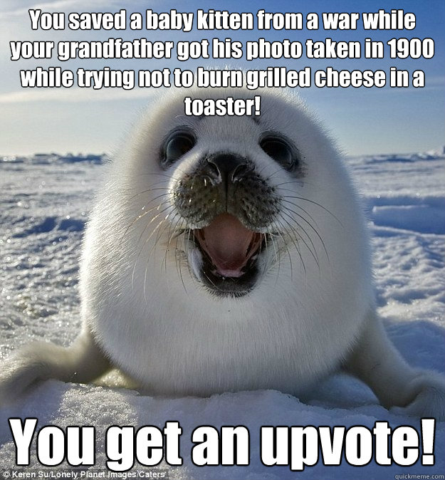 You saved a baby kitten from a war while your grandfather got his photo taken in 1900 while trying not to burn grilled cheese in a toaster! You get an upvote!  Easily Pleased Seal
