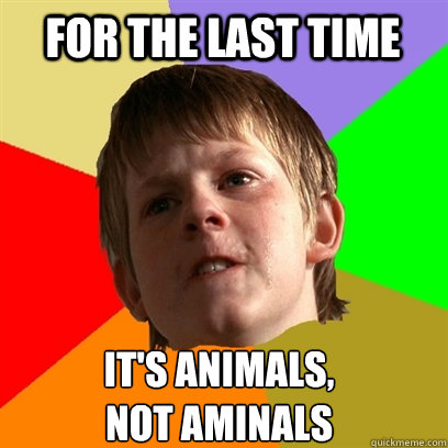 for the last time  it's animals,
not aminals  Angry School Boy