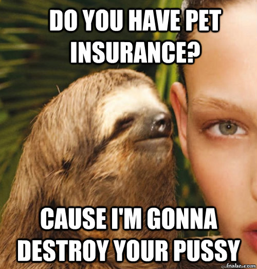 Do you have pet insurance? Cause I'm gonna destroy your pussy - Do you have pet insurance? Cause I'm gonna destroy your pussy  rape sloth