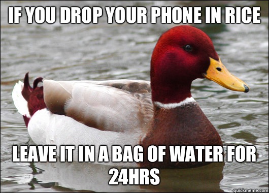 If you drop your phone in rice leave it in a bag of water for 24hrs  Malicious Advice Mallard