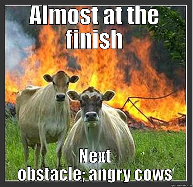 ALMOST AT THE FINISH NEXT OBSTACLE; ANGRY COWS Evil cows