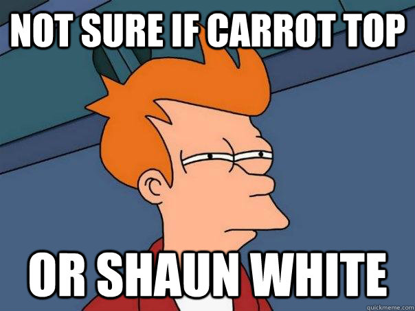 Not sure if Carrot top Or Shaun White  Futurama Fry