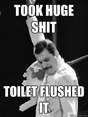 took huge shit toilet flushed it  Freddie Mercury
