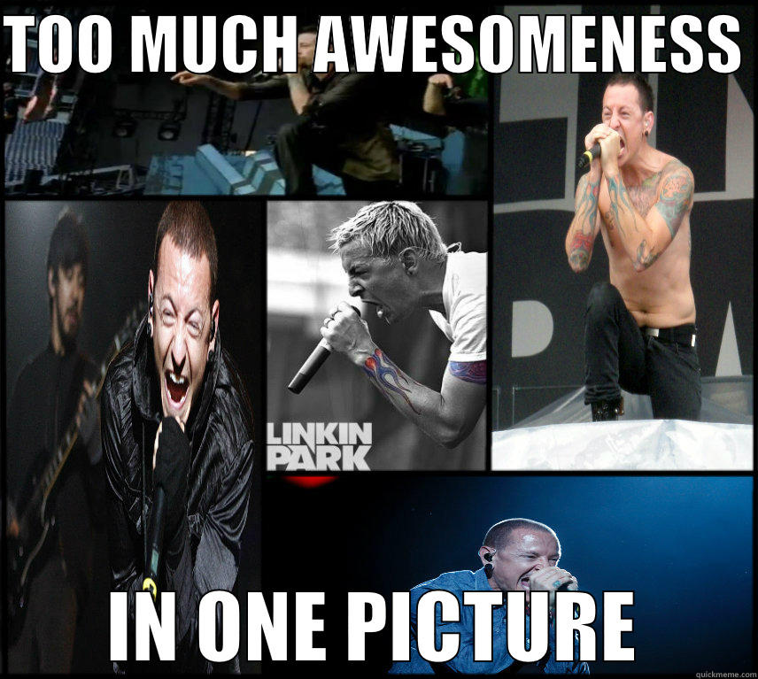 TOO MUCH AWESOMENESS  IN ONE PICTURE Misc