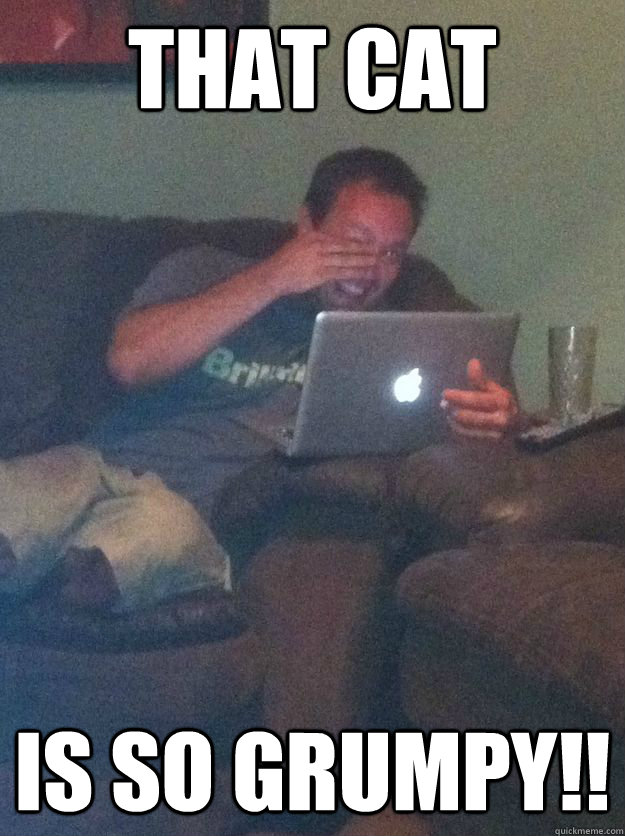 that cat IS SO GRUMPY!! - that cat IS SO GRUMPY!!  Reddit Meme Dad
