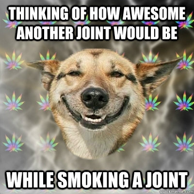 thinking of how awesome another joint would be  while smoking a joint  Stoner Dog