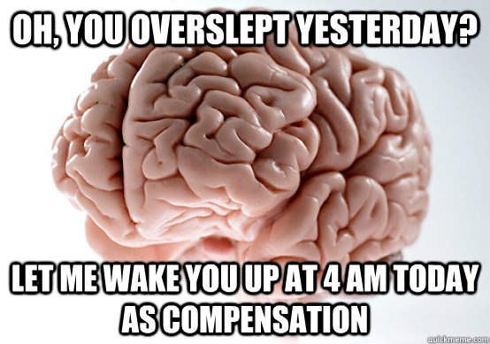 Oh, you overslept yesterday? Let me wake you up at 4 am today as compensation  Scumbag brain on life