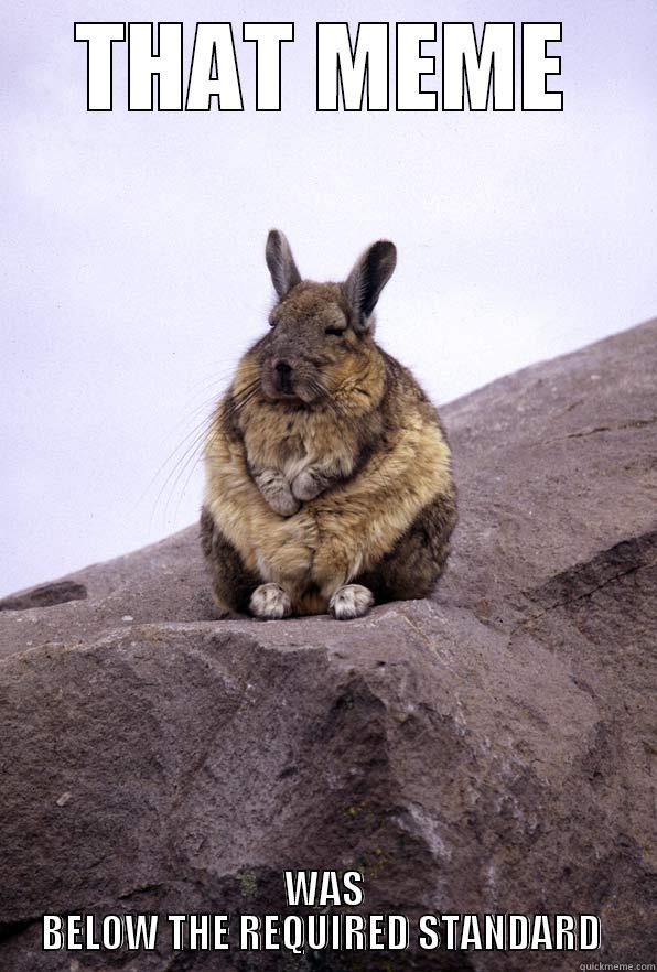 below standard bunny - THAT MEME WAS BELOW THE REQUIRED STANDARD  Wise Wondering Viscacha