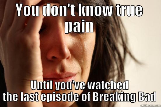 YOU DON'T KNOW TRUE PAIN UNTIL YOU'VE WATCHED THE LAST EPISODE OF BREAKING BAD First World Problems