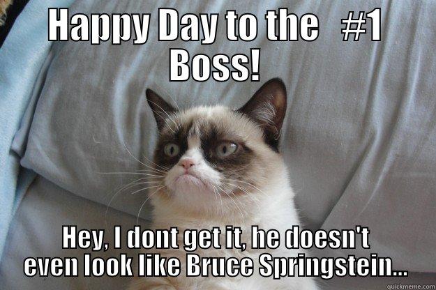 HAPPY DAY TO THE   #1 BOSS! HEY, I DONT GET IT, HE DOESN'T EVEN LOOK LIKE BRUCE SPRINGSTEIN... Grumpy Cat