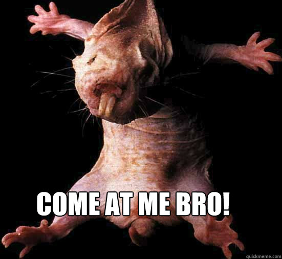 Come At Me bro!  Naked Mole Rat