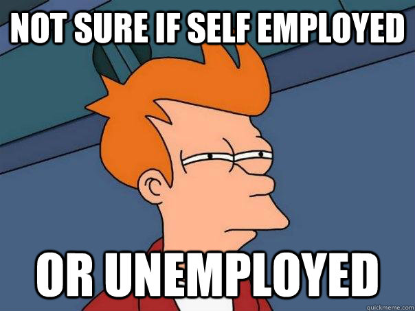 Not sure if self employed Or unemployed  Futurama Fry